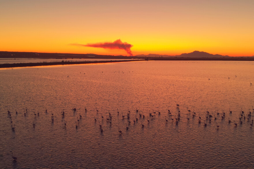 Santa Pola salt flats