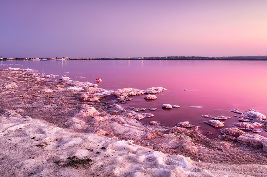 Natural Park of La Mata and Torrevieja Lagoons