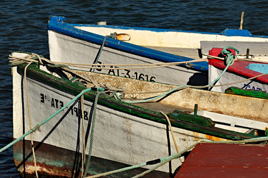 Fresh fish auctions