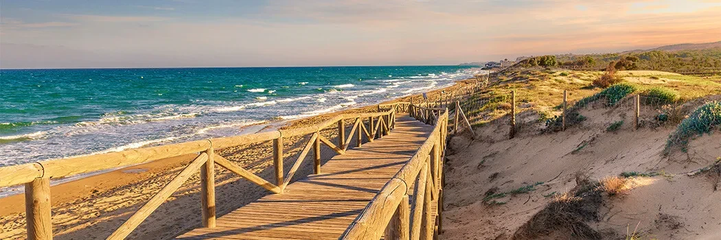 Dunes, nature, sea